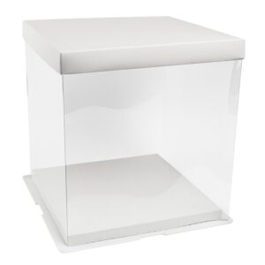 CAJA PLASTICA BLANCA 8 IN